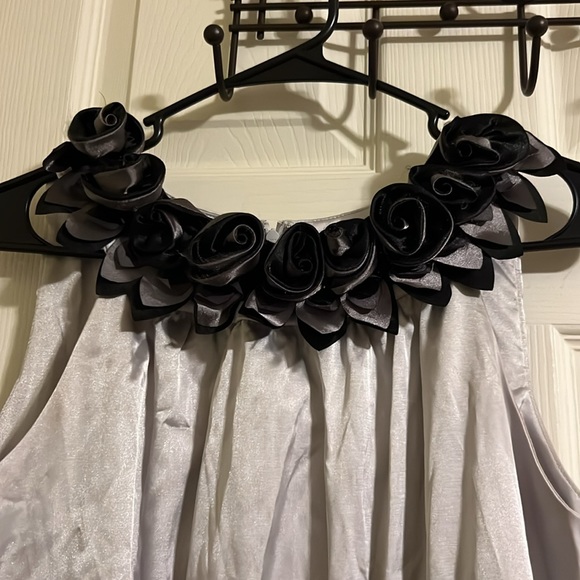 Tiana B. Sleeveless dress for women with a zipper on the back. Size 10 - Picture 4 of 8